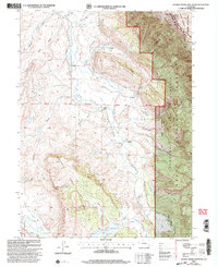 Download a high-resolution, GPS-compatible USGS topo map for Johnny Moore Mountain, CO (2004 edition)