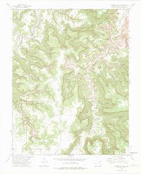 Download a high-resolution, GPS-compatible USGS topo map for Johnson Canyon, CO (1975 edition)