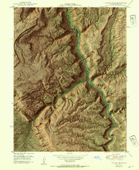 preview thumbnail of historical topo map of Mesa County, CO in 1950
