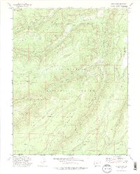 preview thumbnail of historical topo map of Mesa County, CO in 1973