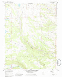 Download a high-resolution, GPS-compatible USGS topo map for La Jara Canyon, CO (1986 edition)