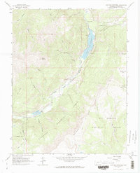 Download a high-resolution, GPS-compatible USGS topo map for Lake San Cristobal, CO (1973 edition)