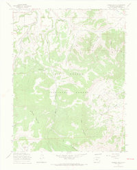 Download a high-resolution, GPS-compatible USGS topo map for Laughlin Gulch, CO (1969 edition)
