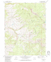 Download a high-resolution, GPS-compatible USGS topo map for Lava Creek, CO (1985 edition)