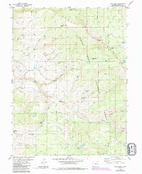 Download a high-resolution, GPS-compatible USGS topo map for Lava Creek, CO (1988 edition)