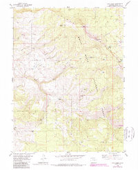 Download a high-resolution, GPS-compatible USGS topo map for Lava Creek, CO (1988 edition)