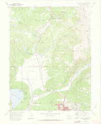Download a high-resolution, GPS-compatible USGS topo map for Leadville North, CO (1973 edition)