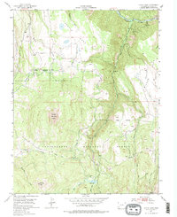 Download a high-resolution, GPS-compatible USGS topo map for Little Cone, CO (1978 edition)