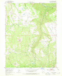 Download a high-resolution, GPS-compatible USGS topo map for Little Cone, CO (1965 edition)