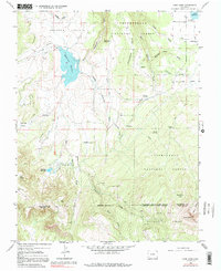Download a high-resolution, GPS-compatible USGS topo map for Lone Cone, CO (1991 edition)