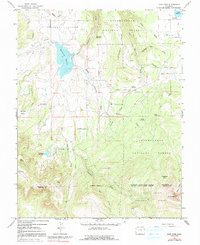 Download a high-resolution, GPS-compatible USGS topo map for Lone Cone, CO (1991 edition)