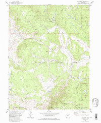 preview thumbnail of historical topo map of Routt County, CO in 1980