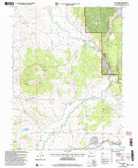 Download a high-resolution, GPS-compatible USGS topo map for Mad Creek, CO (2004 edition)