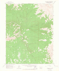 Download a high-resolution, GPS-compatible USGS topo map for Marcellina Mountain, CO (1964 edition)