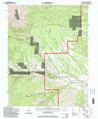 Download a high-resolution, GPS-compatible USGS topo map for Maysville, CO (1998 edition)