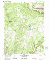 Download a high-resolution, GPS-compatible USGS topo map for Meadow Creek Lake, CO (1988 edition)