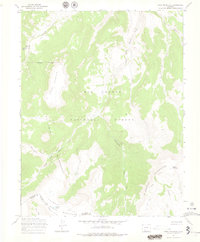 Download a high-resolution, GPS-compatible USGS topo map for Mesa Mountain, CO (1978 edition)
