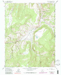 Download a high-resolution, GPS-compatible USGS topo map for Mineral Mountain, CO (1991 edition)