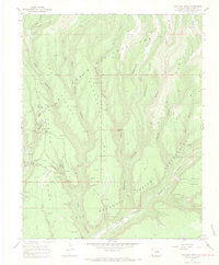 Download a high-resolution, GPS-compatible USGS topo map for Moccasin Mesa, CO (1969 edition)