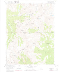 Download a high-resolution, GPS-compatible USGS topo map for Montezuma, CO (1979 edition)