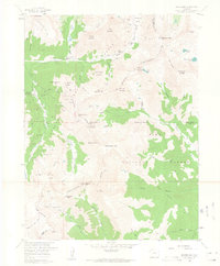 Download a high-resolution, GPS-compatible USGS topo map for Montezuma, CO (1963 edition)