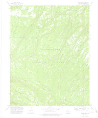 Download a high-resolution, GPS-compatible USGS topo map for Moore Mesa, CO (1976 edition)