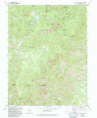 Download a high-resolution, GPS-compatible USGS topo map for Mount Big Chief, CO (1994 edition)