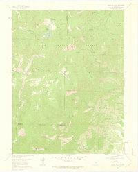 Download a high-resolution, GPS-compatible USGS topo map for Mount Big Chief, CO (1963 edition)