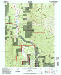 Download a high-resolution, GPS-compatible USGS topo map for Mount Deception, CO (1998 edition)