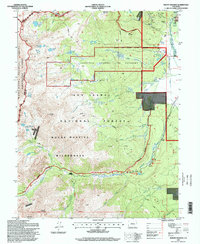 Download a high-resolution, GPS-compatible USGS topo map for Mount Massive, CO (1998 edition)
