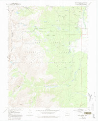 Download a high-resolution, GPS-compatible USGS topo map for Mount Massive, CO (1992 edition)