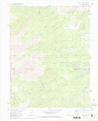 Download a high-resolution, GPS-compatible USGS topo map for Mount Ouray, CO (1988 edition)