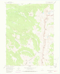 Download a high-resolution, GPS-compatible USGS topo map for Mount Richthofen, CO (1978 edition)