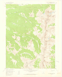 Download a high-resolution, GPS-compatible USGS topo map for Mount Richthofen, CO (1959 edition)