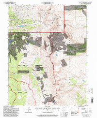 Download a high-resolution, GPS-compatible USGS topo map for Mount Sherman, CO (1998 edition)