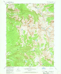 Download a high-resolution, GPS-compatible USGS topo map for Mount Zirkel, CO (1968 edition)