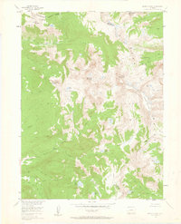 preview thumbnail of historical topo map of Routt County, CO in 1955