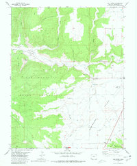 Download a high-resolution, GPS-compatible USGS topo map for Mud Creek, CO (1980 edition)