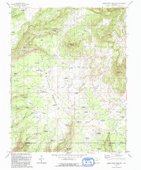 Download a high-resolution, GPS-compatible USGS topo map for Narraguinnep Mountain, CO (1993 edition)