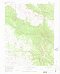 Download a high-resolution, GPS-compatible USGS topo map for Naturita NW, CO (1982 edition)
