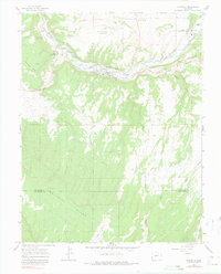 Download a high-resolution, GPS-compatible USGS topo map for Naturita, CO (1981 edition)