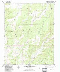Download a high-resolution, GPS-compatible USGS topo map for Negro Canyon, CO (1994 edition)