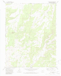 Download a high-resolution, GPS-compatible USGS topo map for Negro Canyon, CO (1984 edition)