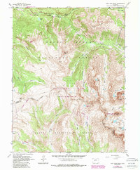 Download a high-resolution, GPS-compatible USGS topo map for New York Peak, CO (1988 edition)