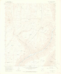 Download a high-resolution, GPS-compatible USGS topo map for Nipple Mountain, CO (1965 edition)
