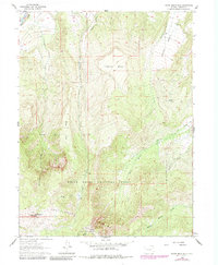 Download a high-resolution, GPS-compatible USGS topo map for North Mamm Peak, CO (1984 edition)