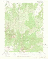 Download a high-resolution, GPS-compatible USGS topo map for North Mamm Peak, CO (1972 edition)