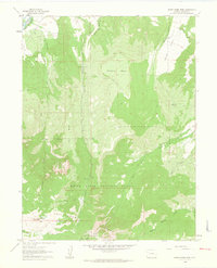 Download a high-resolution, GPS-compatible USGS topo map for North Mamm Peak, CO (1964 edition)