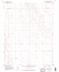 Download a high-resolution, GPS-compatible USGS topo map for North Of Brandon, CO (1995 edition)