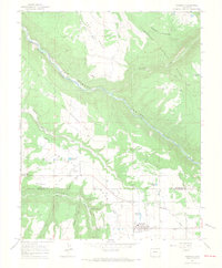 Download a high-resolution, GPS-compatible USGS topo map for Norwood, CO (1968 edition)